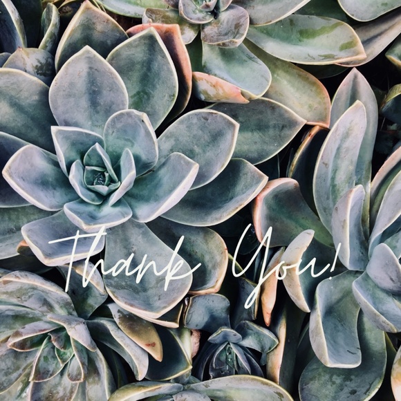 Meet your Posher, Tina - Picture 1 of 1